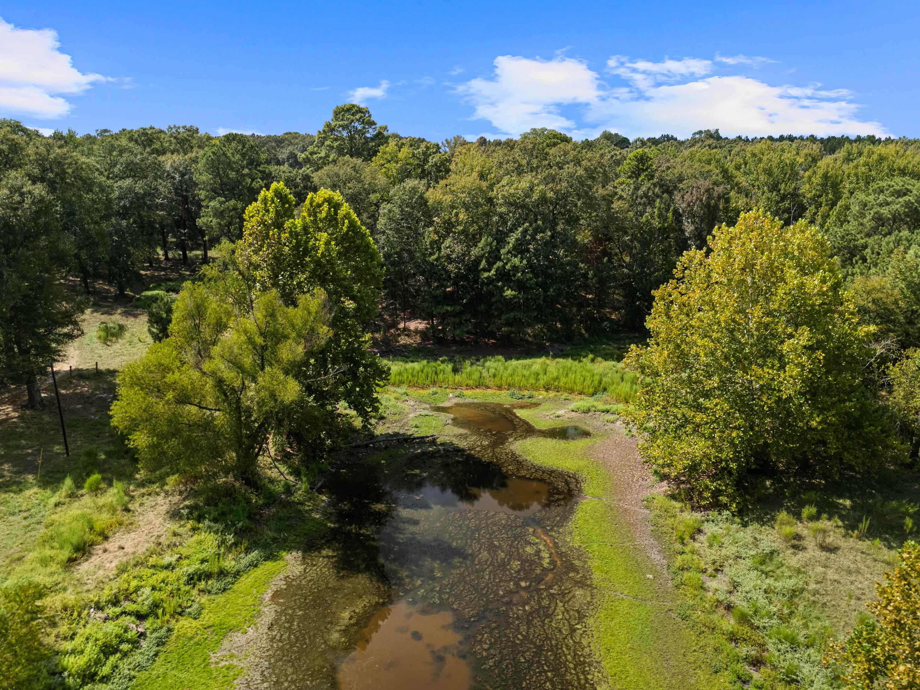 894 Lewis Chapel Road Jefferson, TX 75657 - Photo 41 of 41 Gallery Image 41