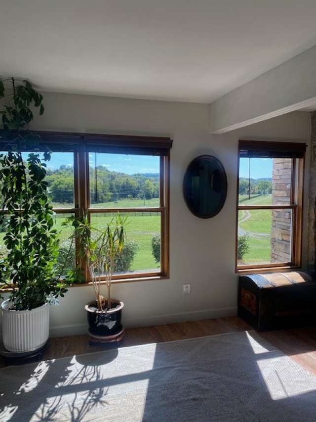 4243 Beech Log Road Lebanon, TN 37090 - Photo 15 of 36 a living room with a couch and a potted plant