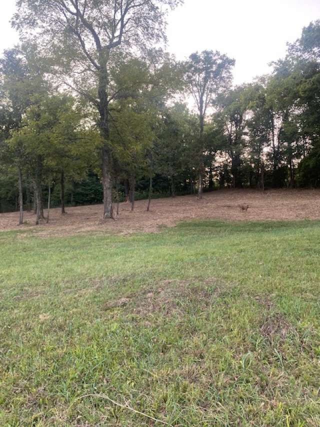 4243 Beech Log Road Lebanon, TN 37090 - Photo 22 of 36 a view of outdoor space with deck and yard