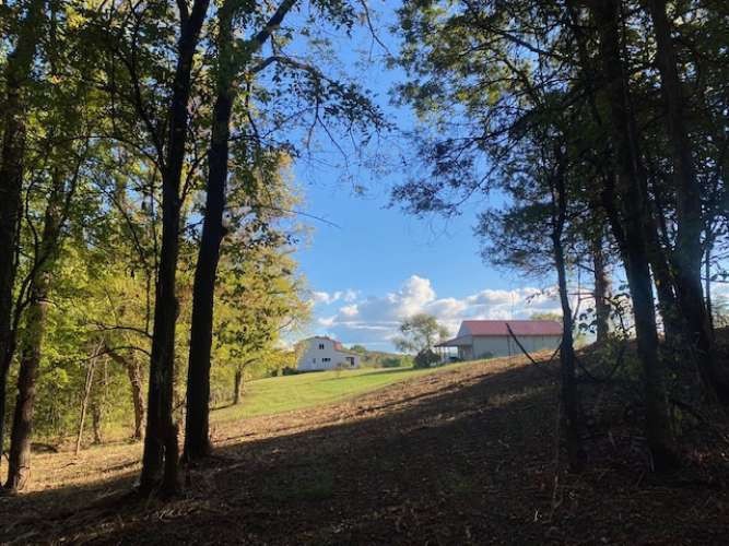4243 Beech Log Road Lebanon, TN 37090 - Photo 25 of 36 a view of lake from yard