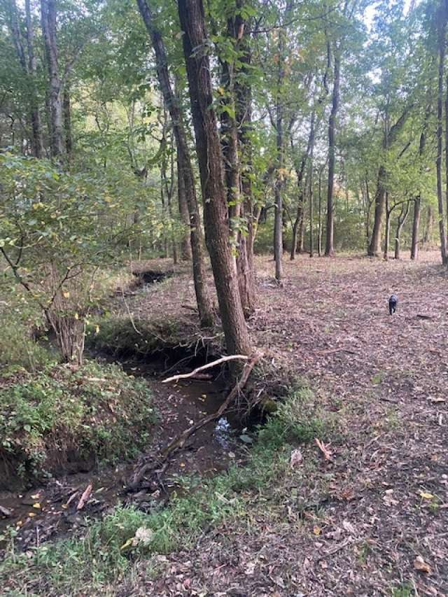 4243 Beech Log Road Lebanon, TN 37090 - Photo 27 of 36