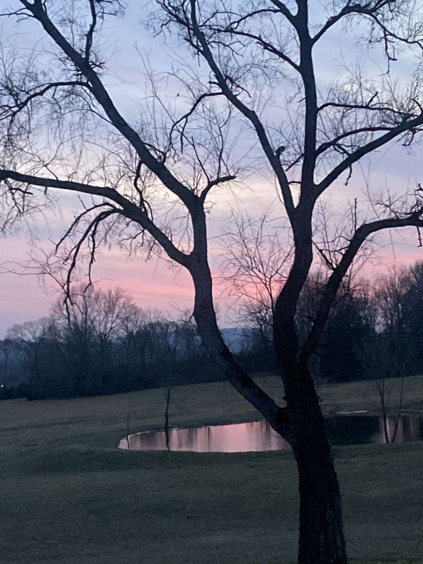 4243 Beech Log Road Lebanon, TN 37090 - Photo 29 of 36