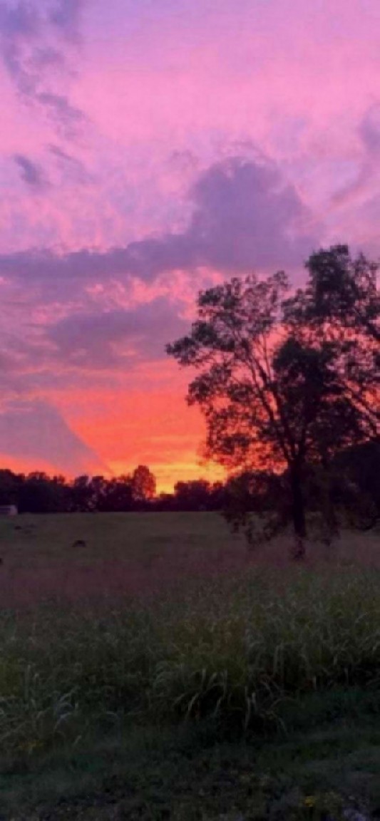 4243 Beech Log Road Lebanon, TN 37090 - Photo 30 of 36