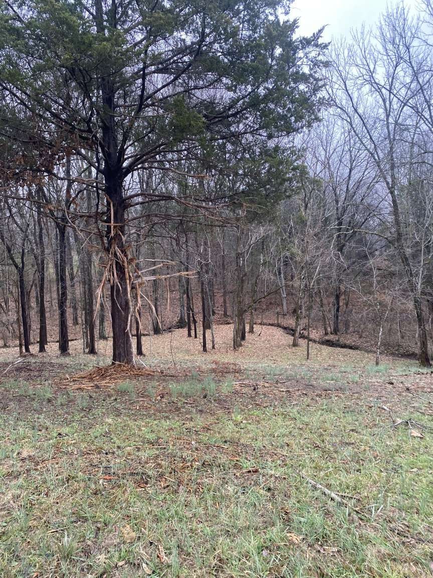 4243 Beech Log Road Lebanon, TN 37090 - Photo 34 of 36