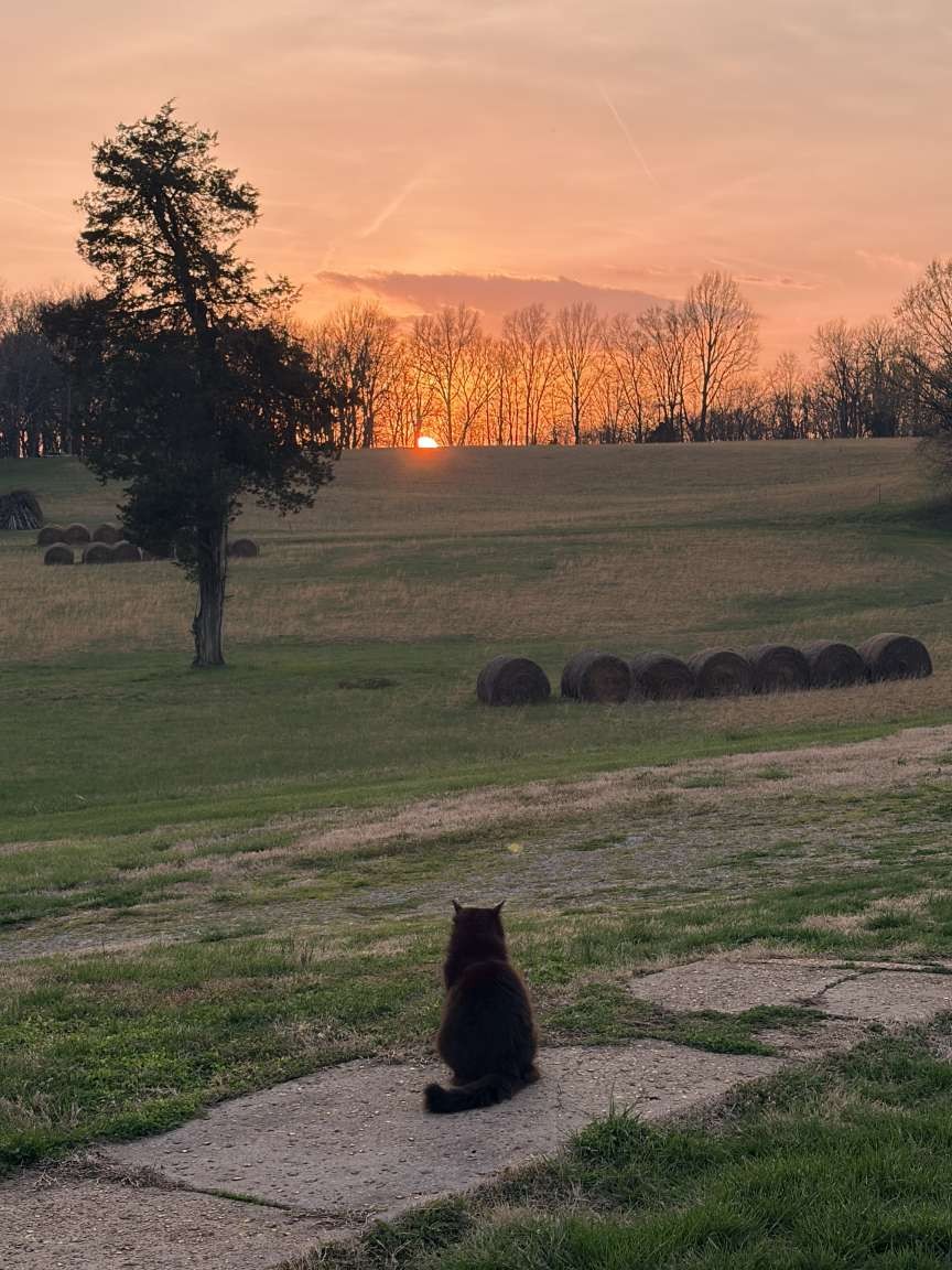 4243 Beech Log Road Lebanon, TN 37090 - Photo 36 of 36