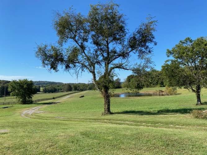 4243 Beech Log Road Lebanon, TN 37090 - Photo 9 of 36