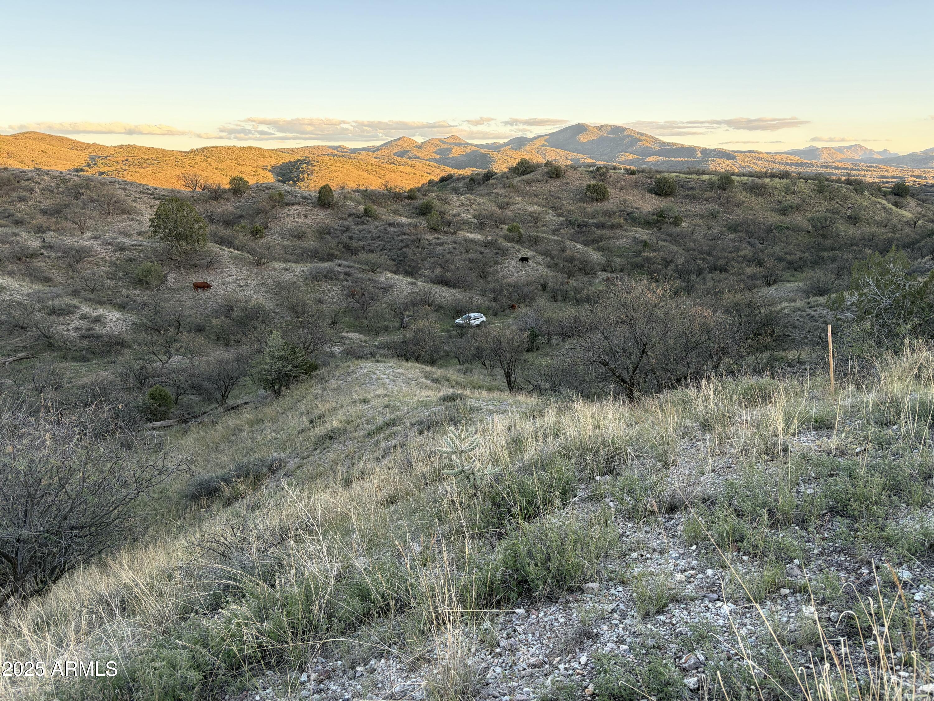 Tbd Adobe Canyon Road, Unit 6 Patagonia, AZ 85624 - Photo 3 of 13 a view of a lush green forest with mountains in the background