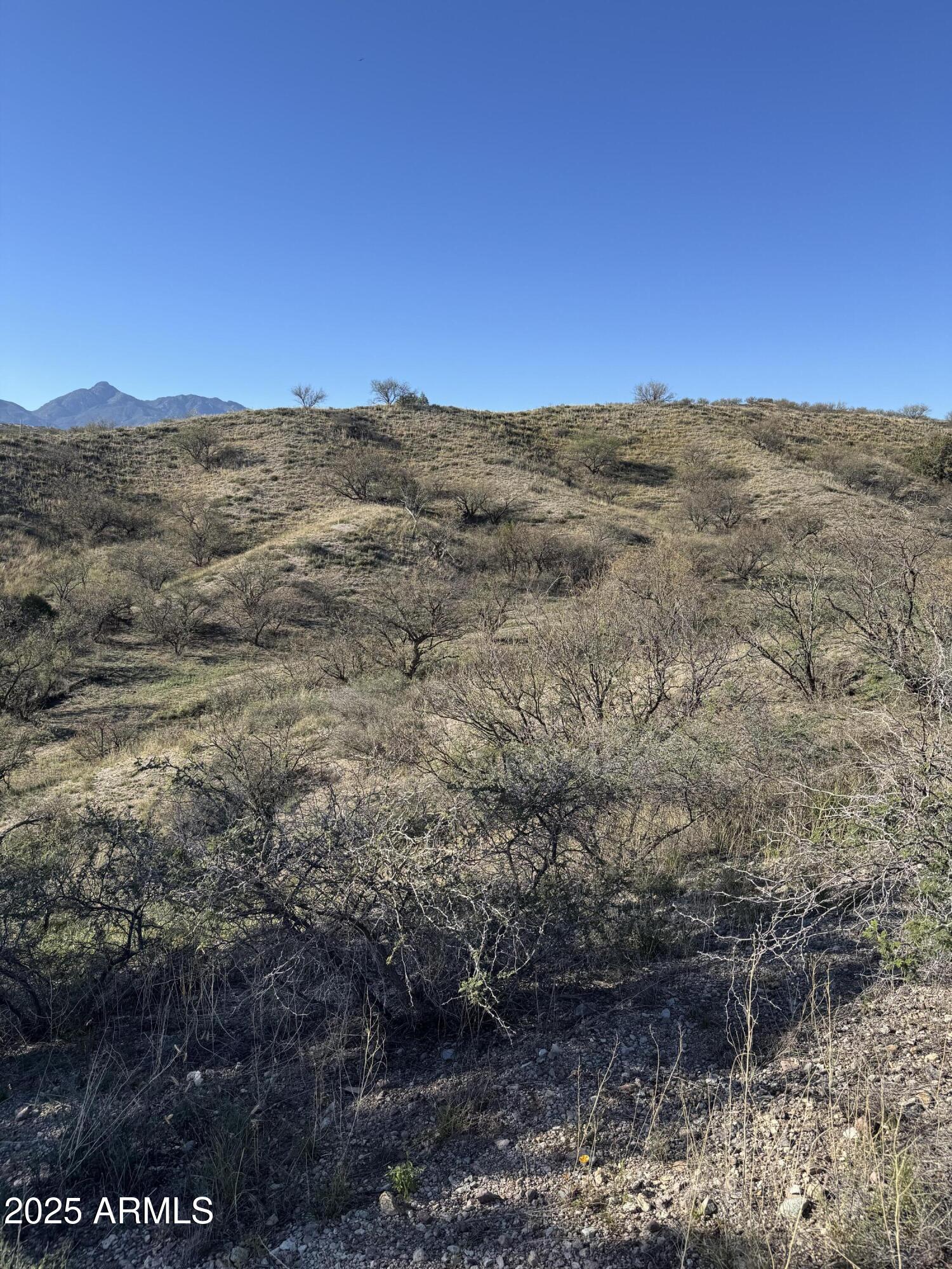 Tbd Adobe Canyon Road, Unit 6 Patagonia, AZ 85624 - Photo 10 of 13 a view of sunset