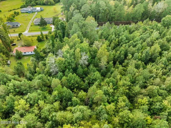 $34,900 | Tbd Gurganus Road, Maple Hill, NC 28454