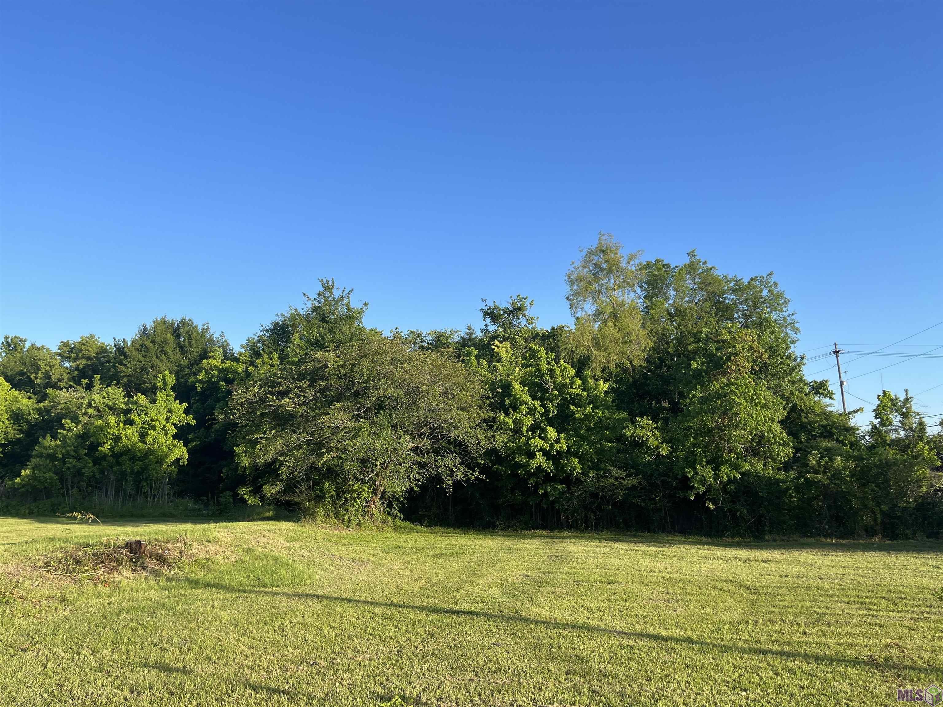 Tbd Peter Messina Road Addis, LA 70710 - Photo 2 of 5 Gallery Image 2