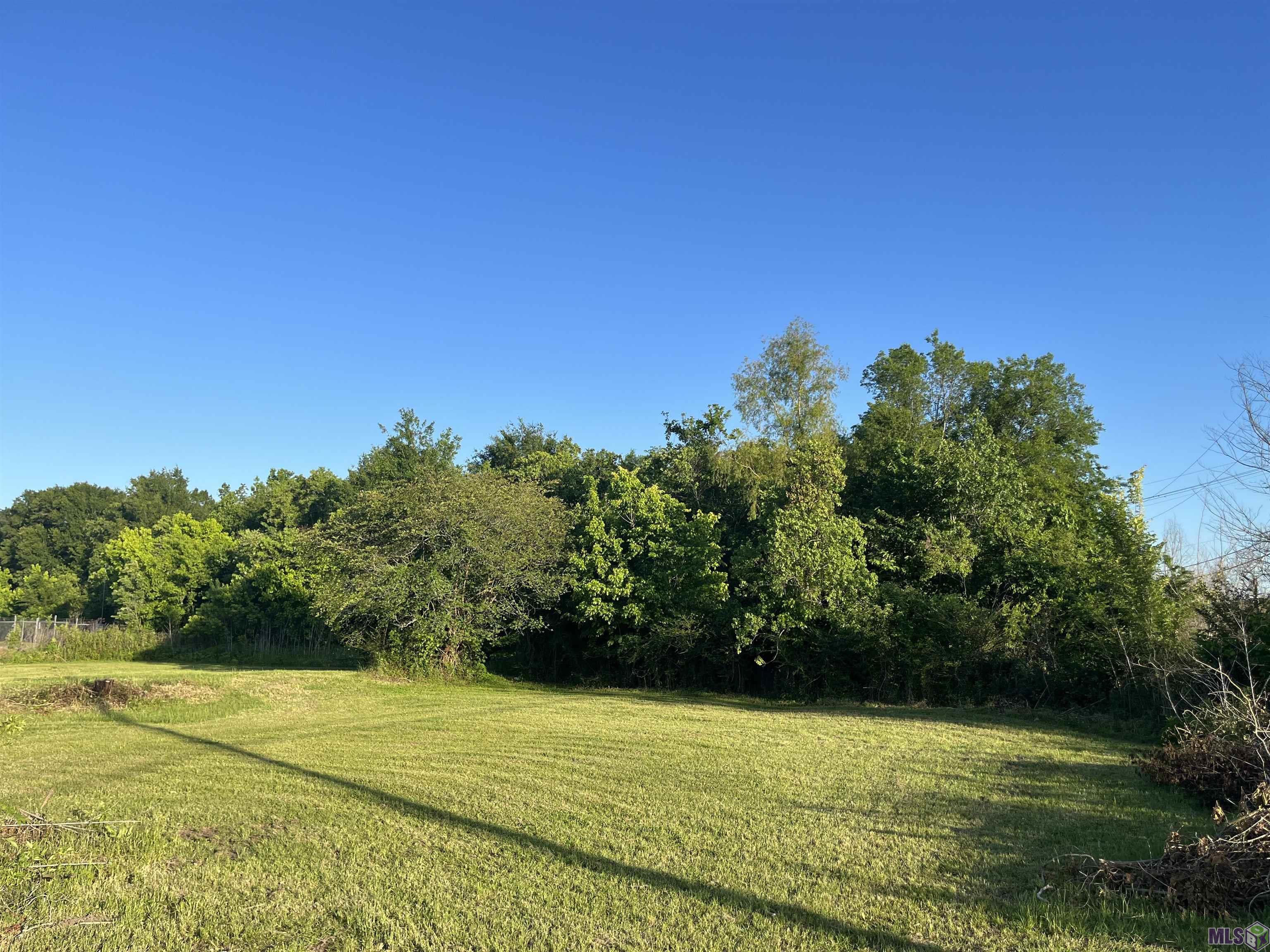 Tbd Peter Messina Road Addis, LA 70710 - Photo 3 of 5 Gallery Image 3