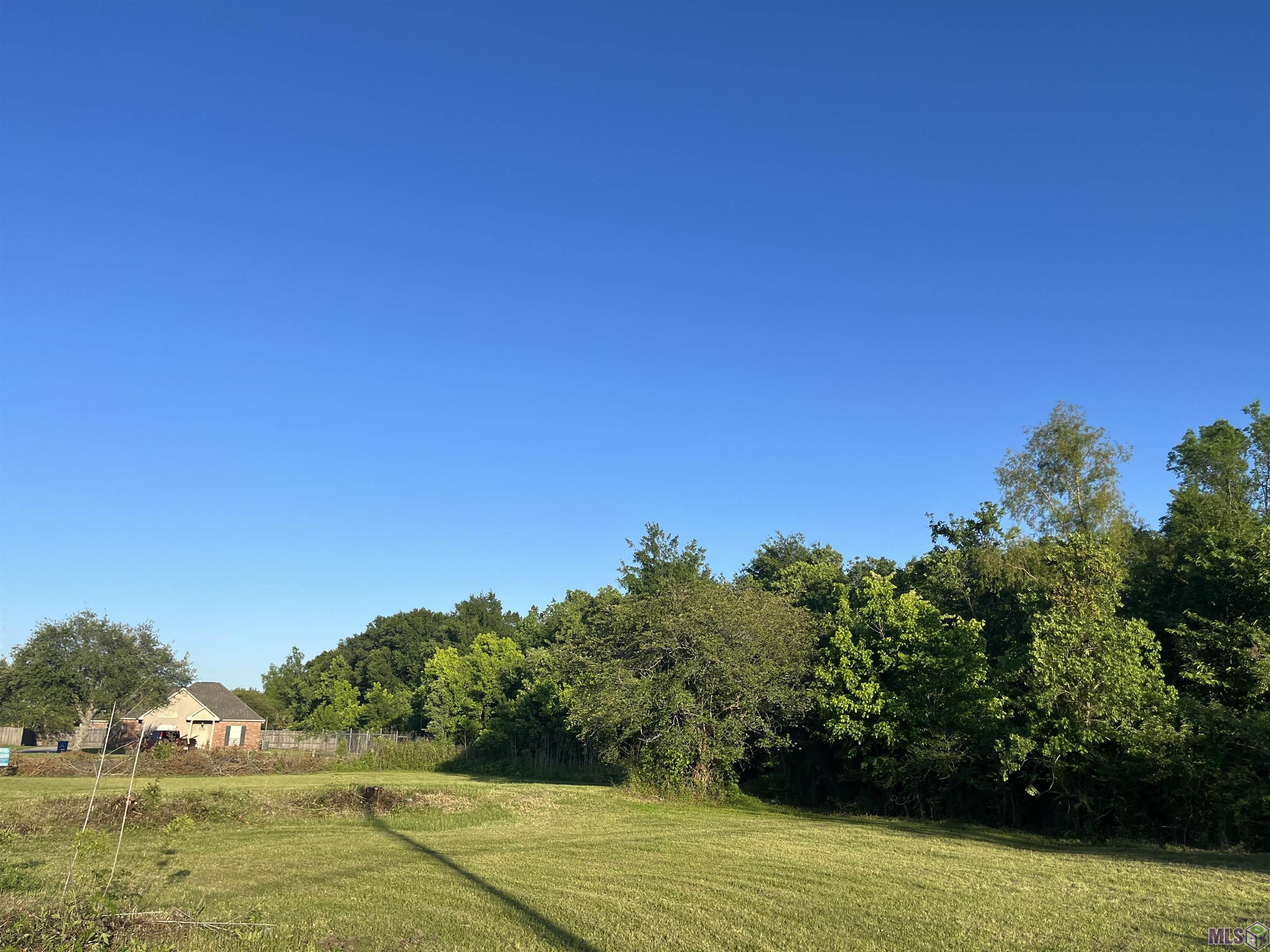 Tbd Peter Messina Road Addis, LA 70710 - Photo 4 of 5 Gallery Image 4