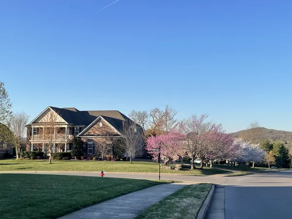 a front view of house with yard and green space