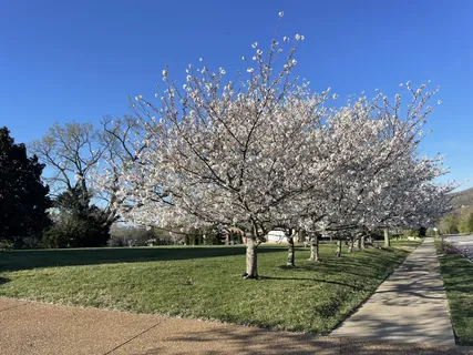 $1,595,000 | 9224 Sydney Lane, Brentwood, TN 37027