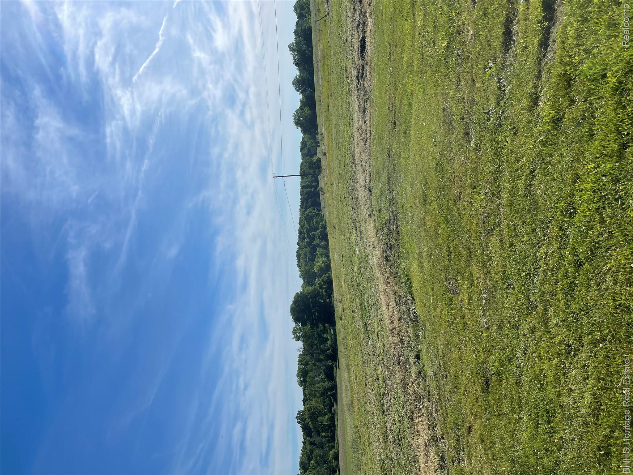 5435 Byron Road Howell, MI 48855 - Photo 25 of 30 large rolling yard on 2 acres