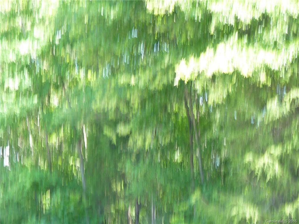 7313 Kuck Road Mint Hill, NC 28227 - Photo 12 of 18 Gallery Image 12
