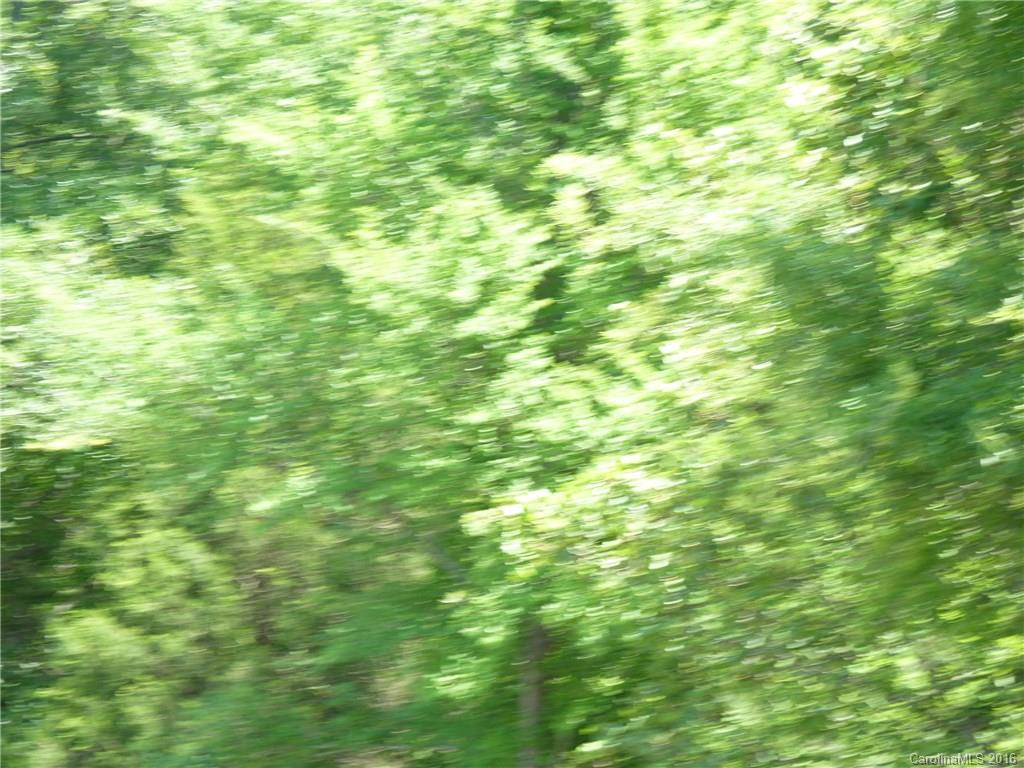 7313 Kuck Road Mint Hill, NC 28227 - Photo 9 of 18 Gallery Image 9