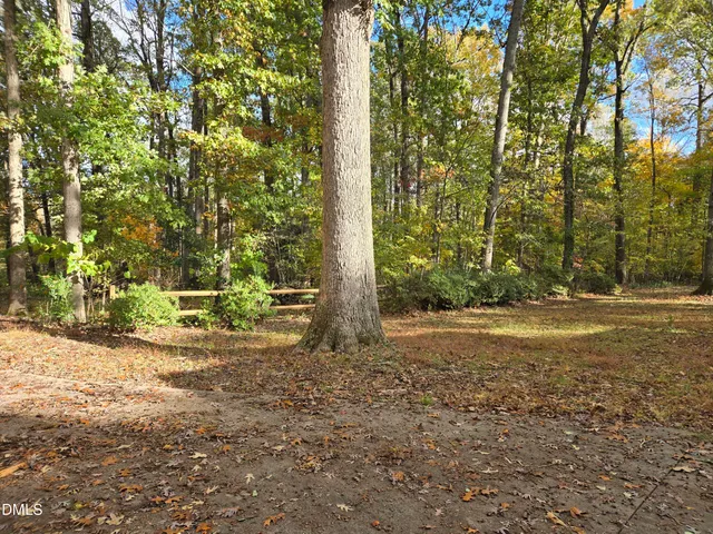 a view of a yard with large trees
