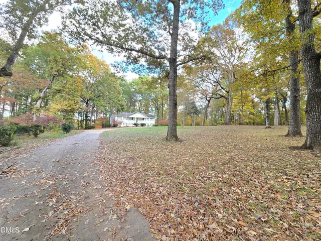 a view of dirt yard with a tree