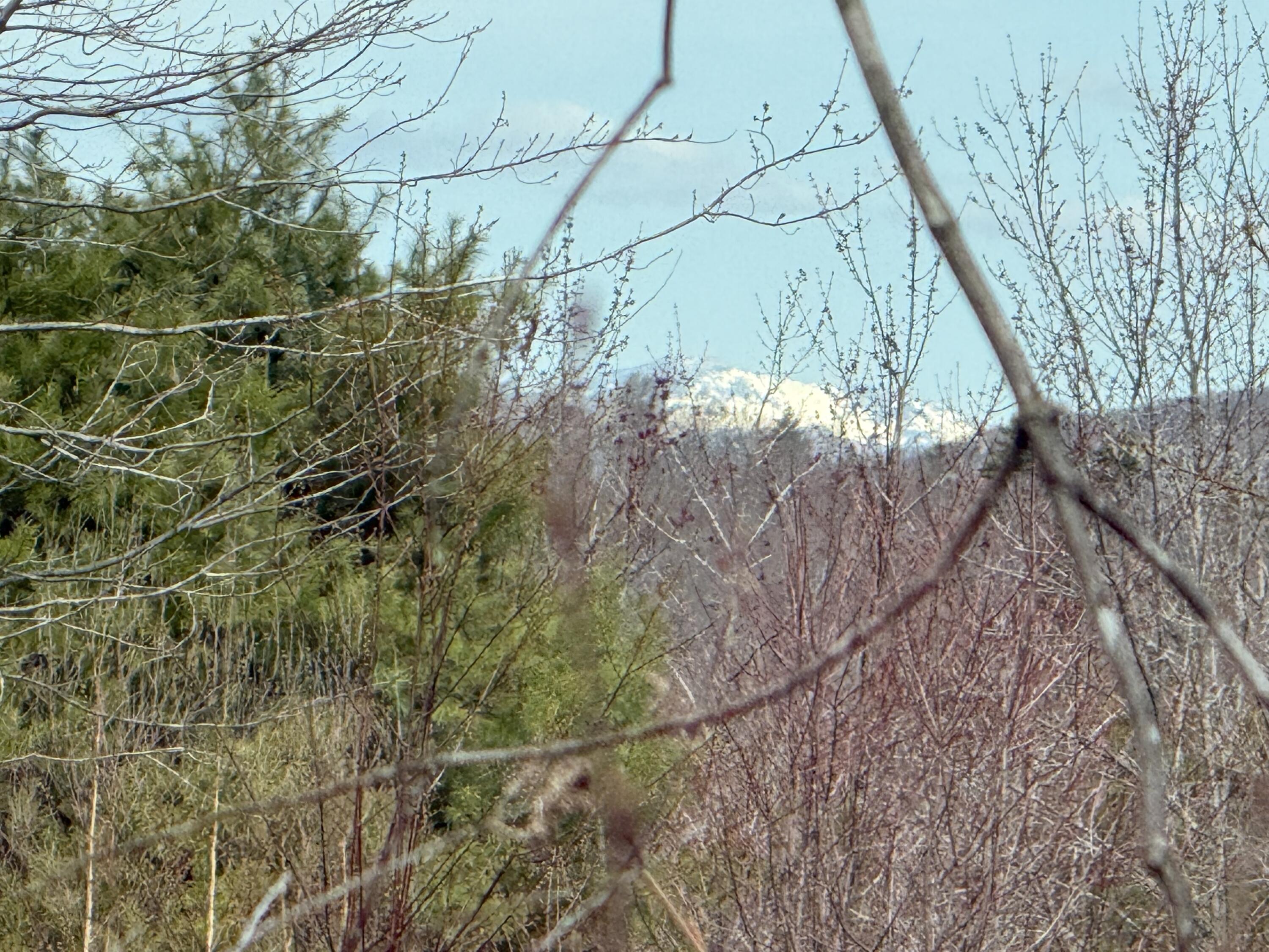 29 Haviture Way Denmark, ME 04022 - Photo 4 of 22 IMG_0946