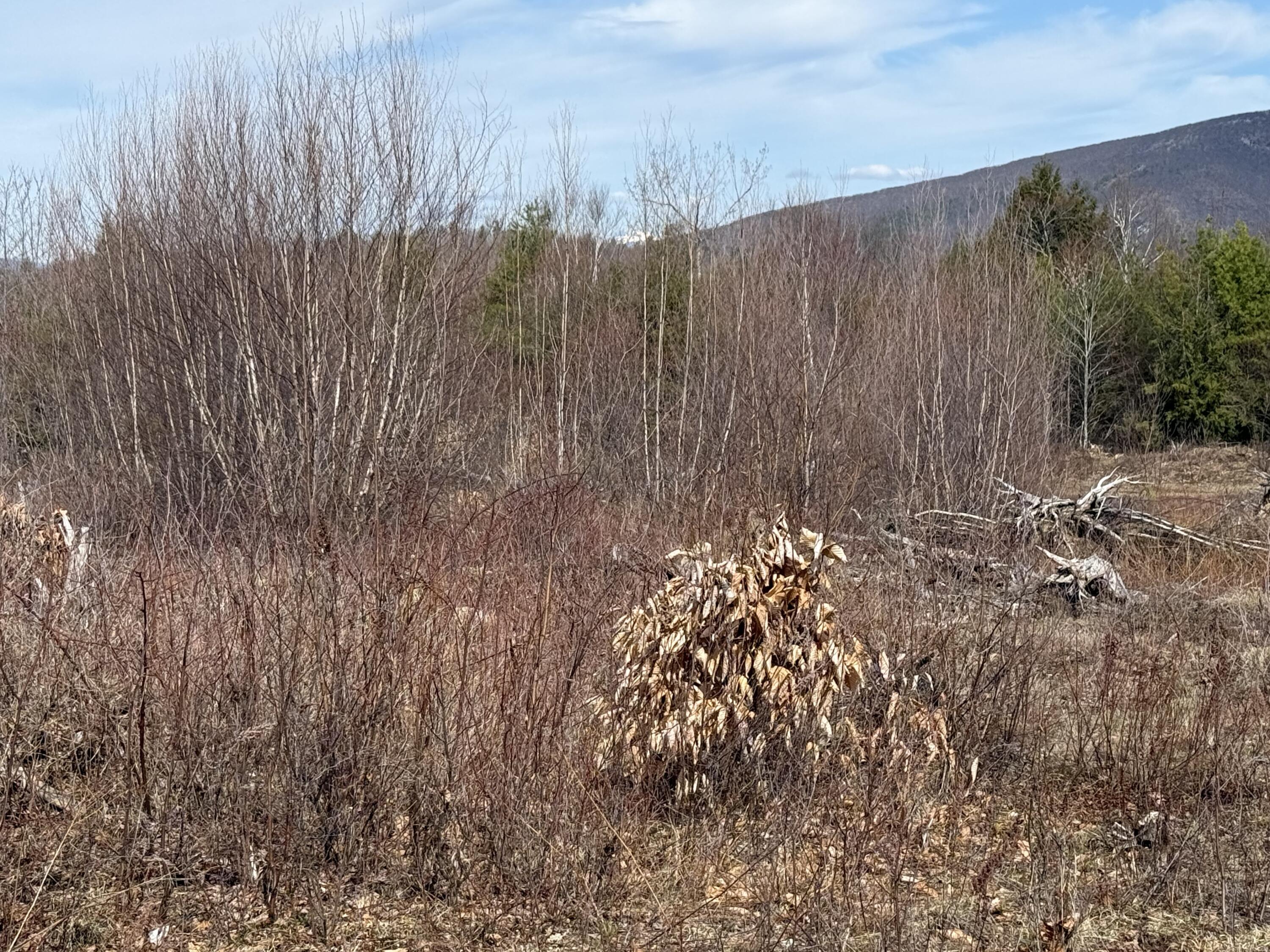 29 Haviture Way Denmark, ME 04022 - Photo 5 of 22 IMG_0937