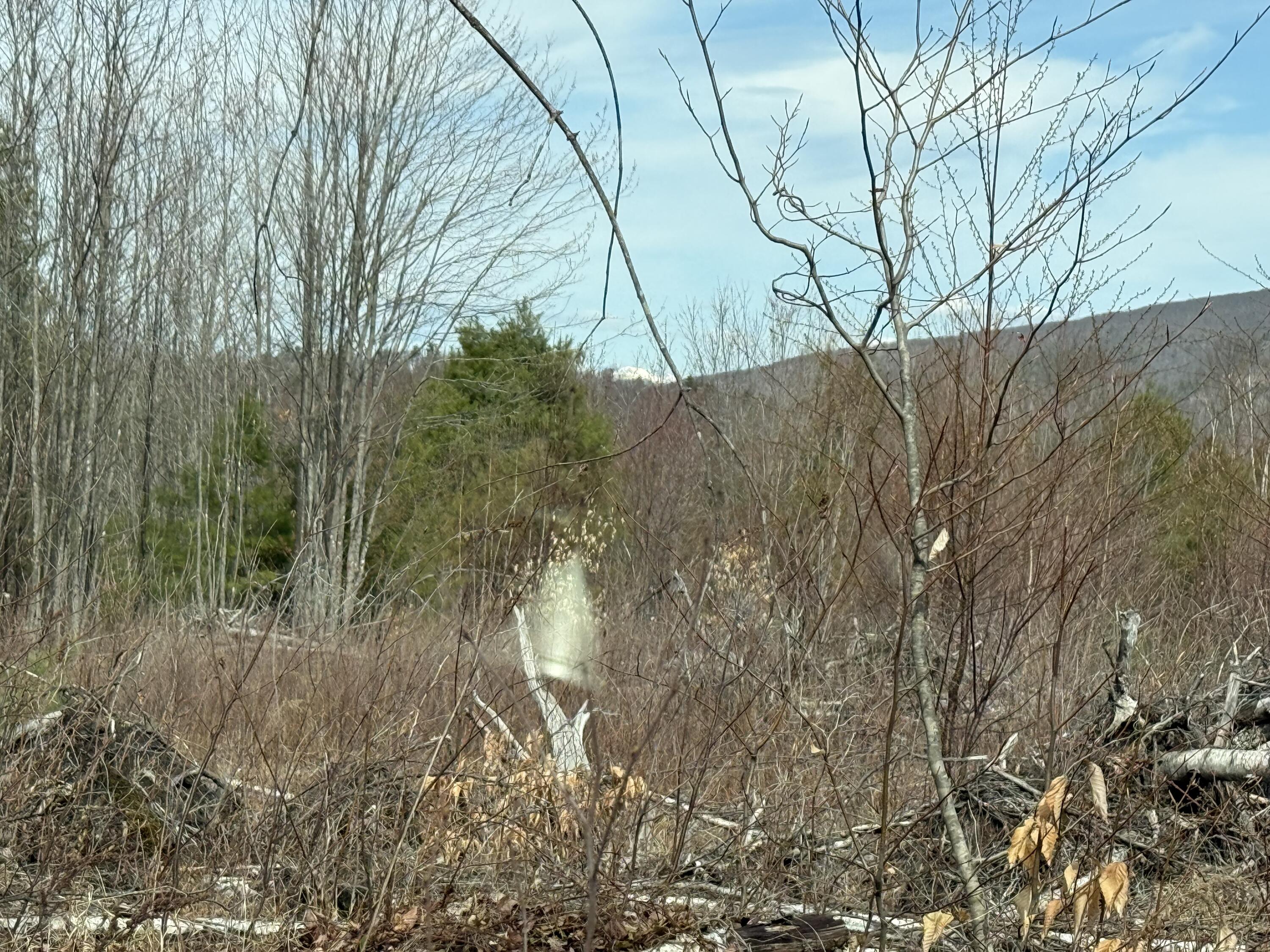 29 Haviture Way Denmark, ME 04022 - Photo 7 of 22 IMG_0945