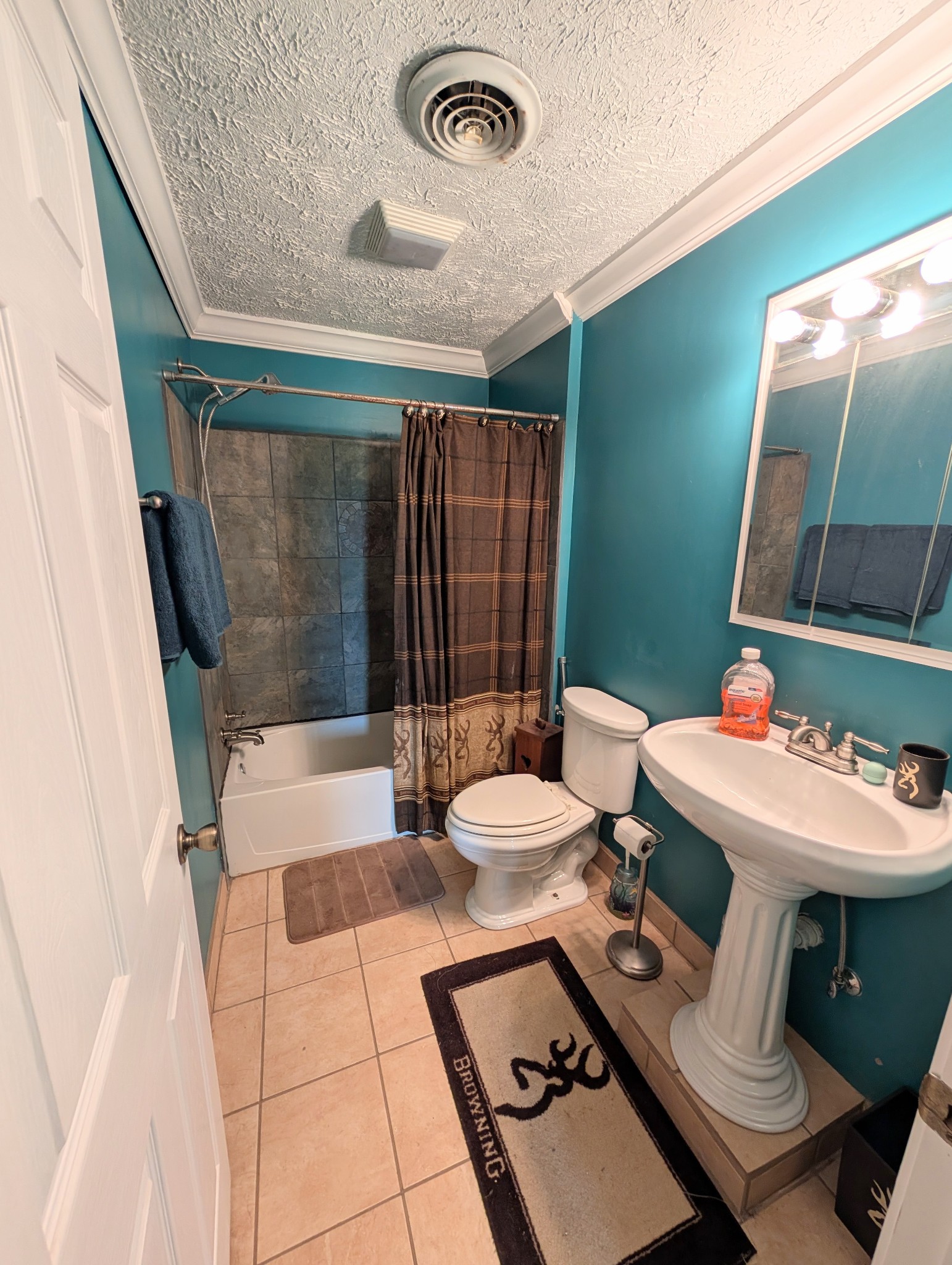 6780 Salubria Springs Road Pembroke, KY 42266 - Photo 13 of 18 a bathroom with a sink mirror vanity and toilet