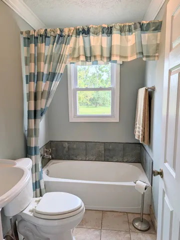 a bathroom with a bathtub and a toilet