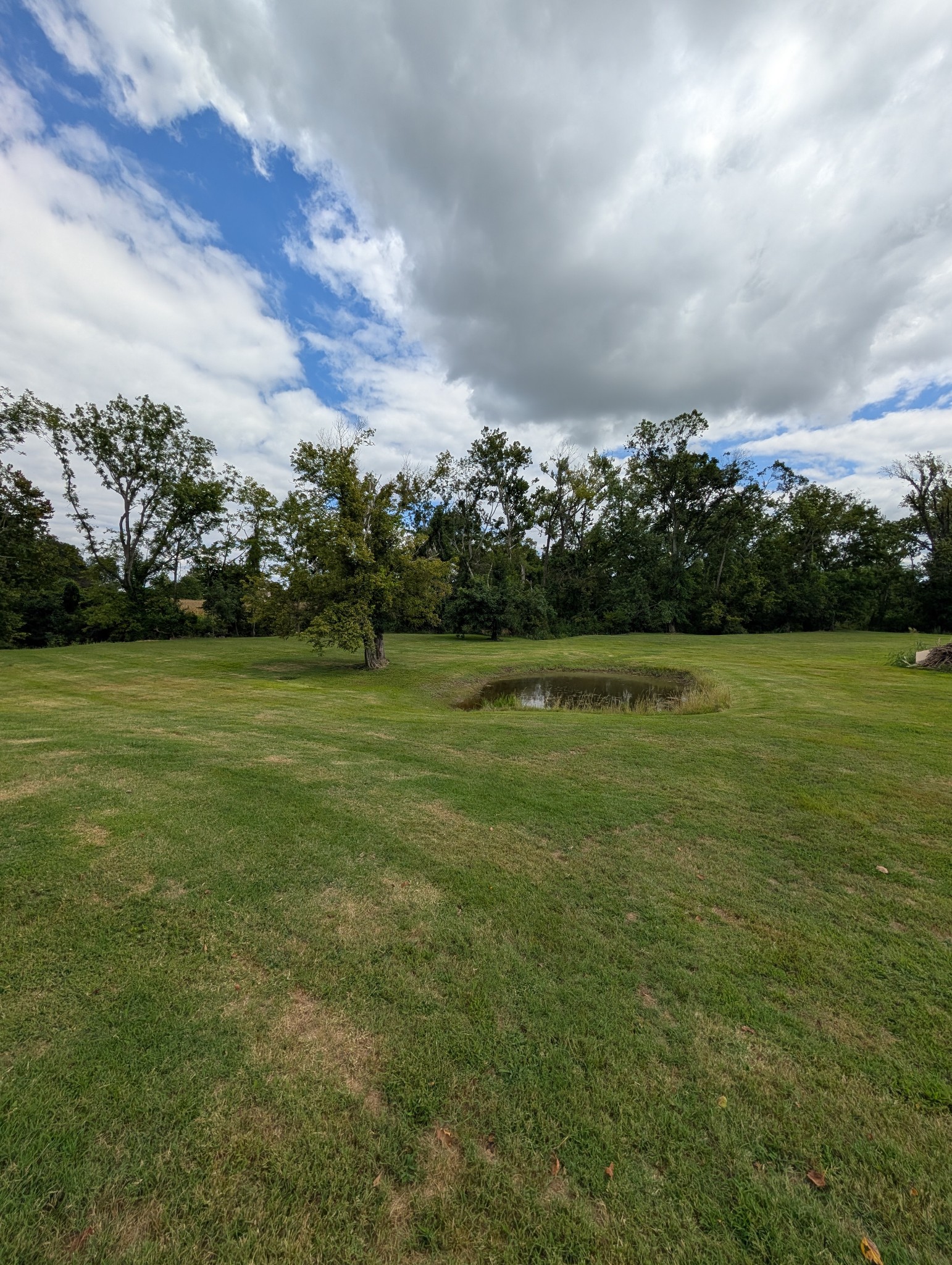 6780 Salubria Springs Road Pembroke, KY 42266 - Photo 18 of 18 a view of a golf course with a lake