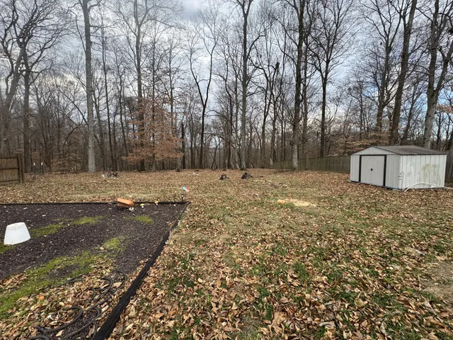 a view of a yard with large trees