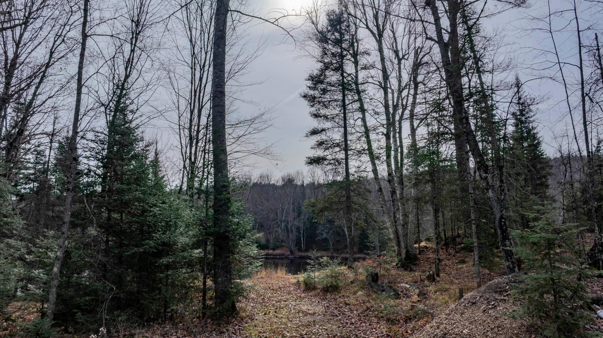 379 Sheltrow Road Crystal Falls, MI 49920 - Photo 56 of 65 Gallery Image 56