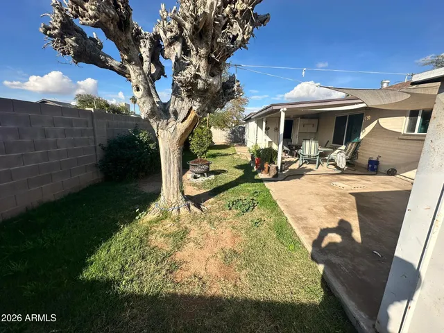 a view of a backyard with plants and a patio