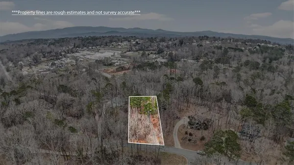 $420,000 | 1029 Laurel Lake Drive, Ball Ground, GA 30107