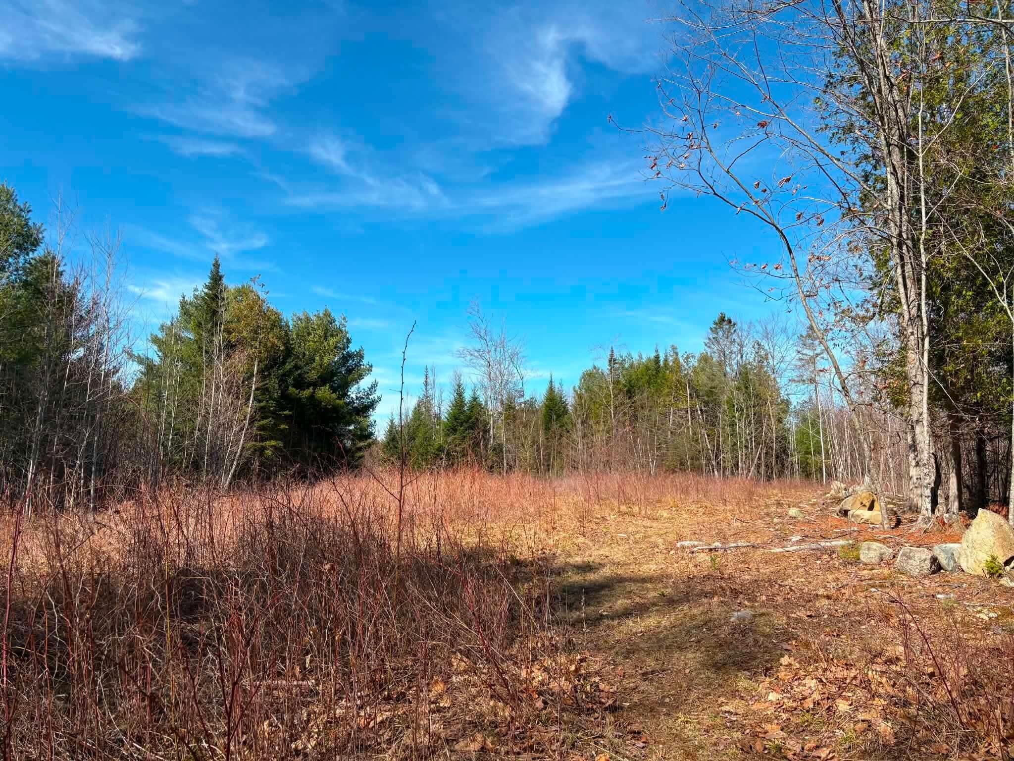 0 Fields Pond Road Orrington, ME 04474 - Photo 4 of 5 488f4202138e5478bfe327055f2f711e