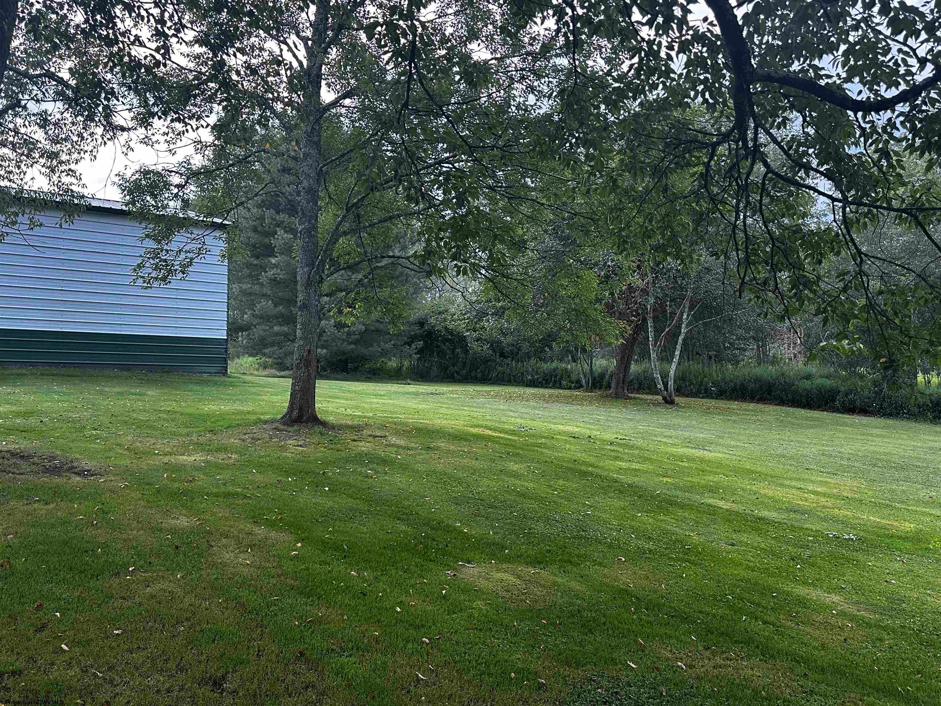 47 Rapp Drive Davis, WV 26260 - Photo 22 of 22 Gallery Image 22
