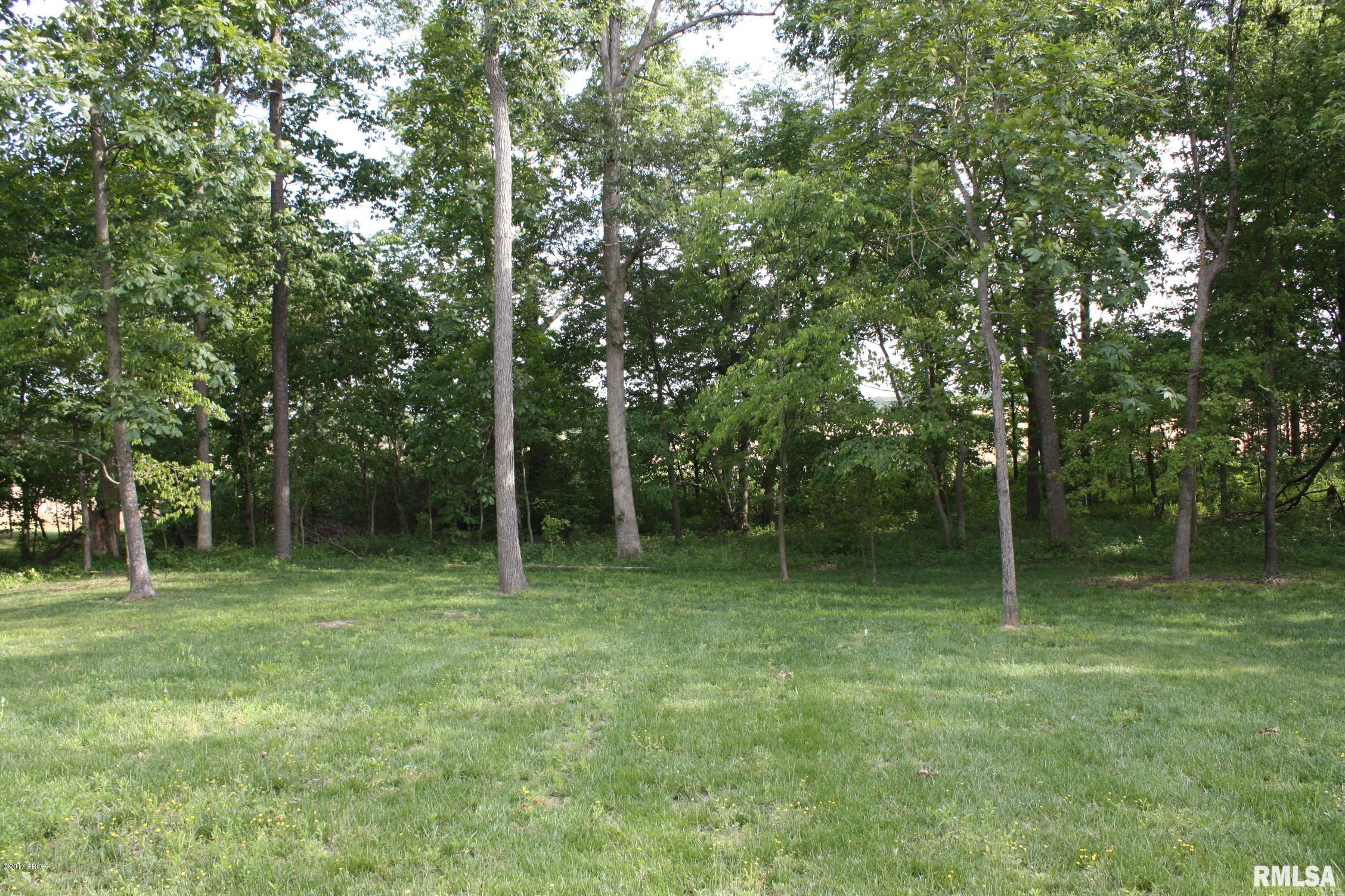 15733 Ciara Road Marion, IL 62959 - Photo 24 of 27 Gallery Image 24
