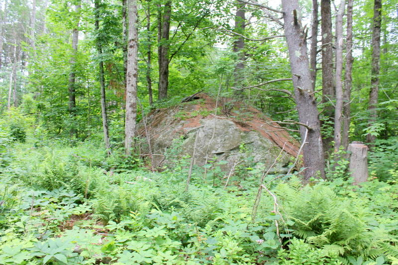 0 Rte 219 / West Cove Road Hartford, ME 04220 - Photo 9 of 16 IMG_2090