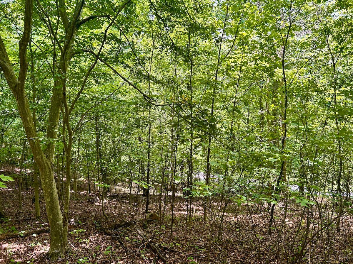 0 Stewartsville Road Vinton, VA 24179 - Photo 44 of 64