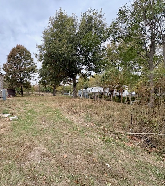 a view of snow on green field