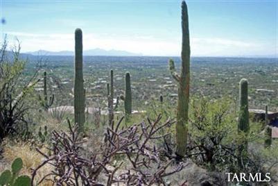 12265 East Coronado Road, Unit 46 Tucson, AZ 85749 - Photo 14 of 41