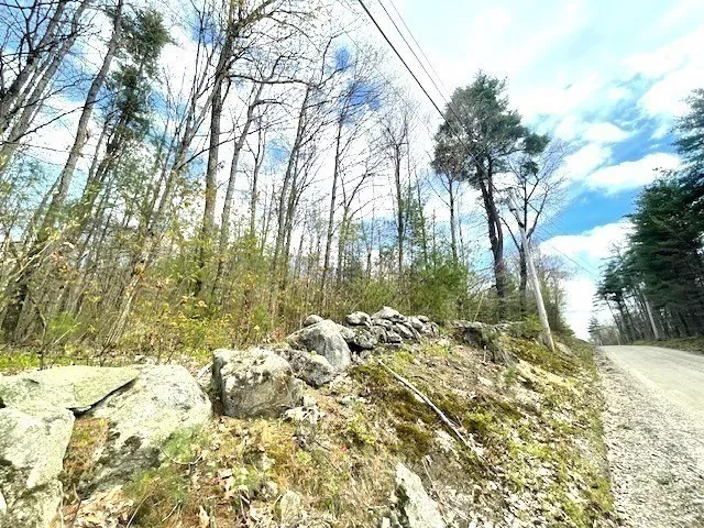 a view of a yard covered in snow
