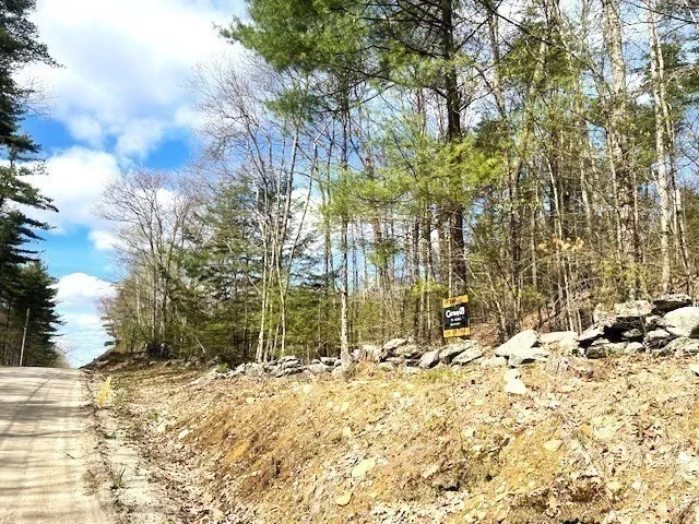 a view of a yard covered with snow in the background