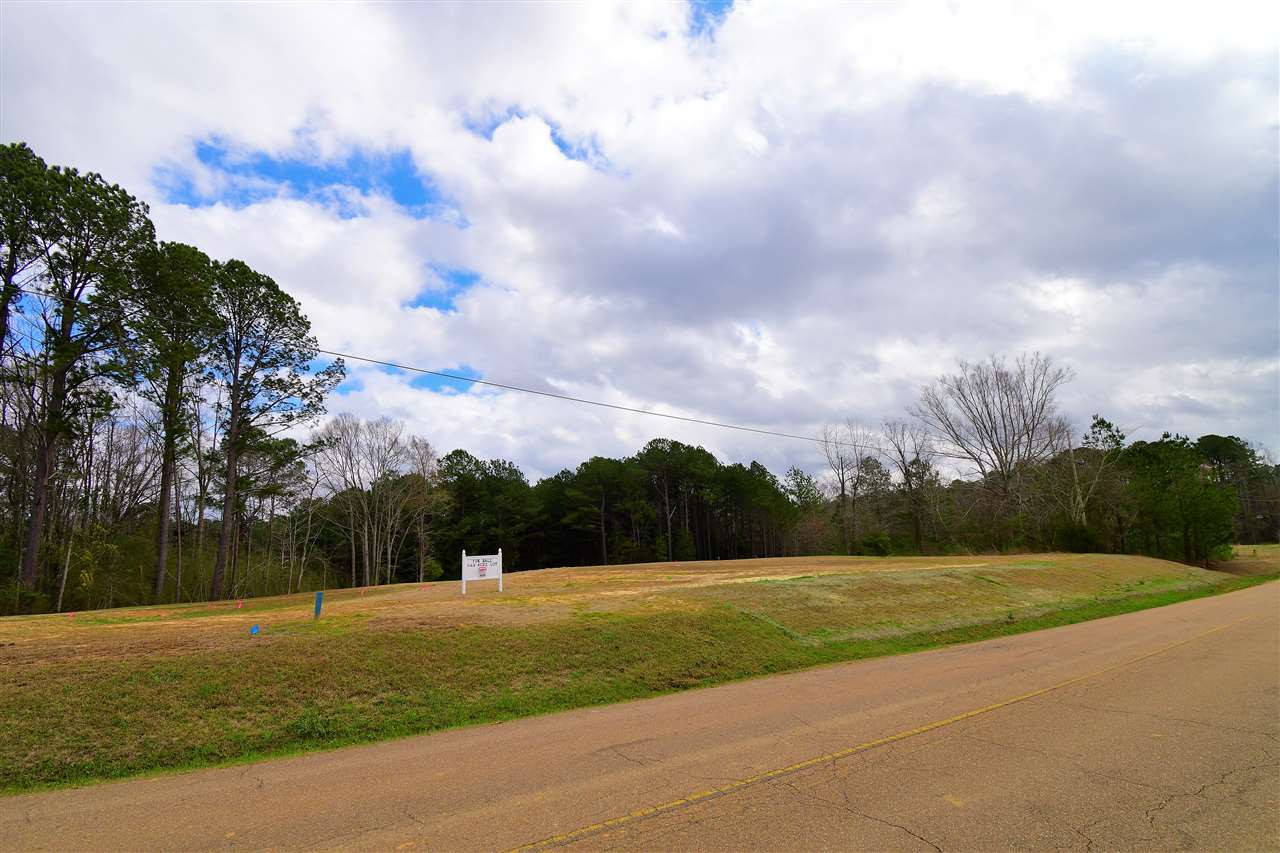 5832 Grants Ferry Road Flowood, MS 39047 - Photo 3 of 8 Photo 3