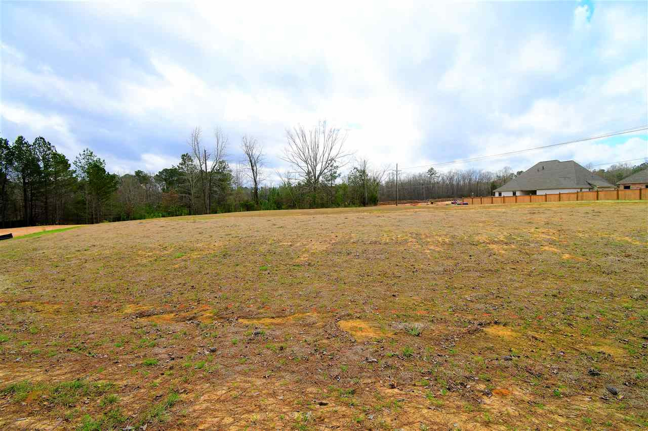 5832 Grants Ferry Road Flowood, MS 39047 - Photo 8 of 8 Photo 8