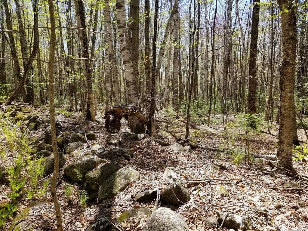 Tbd Hunter Road Strong, ME 04983 - Photo 12 of 20 Photo