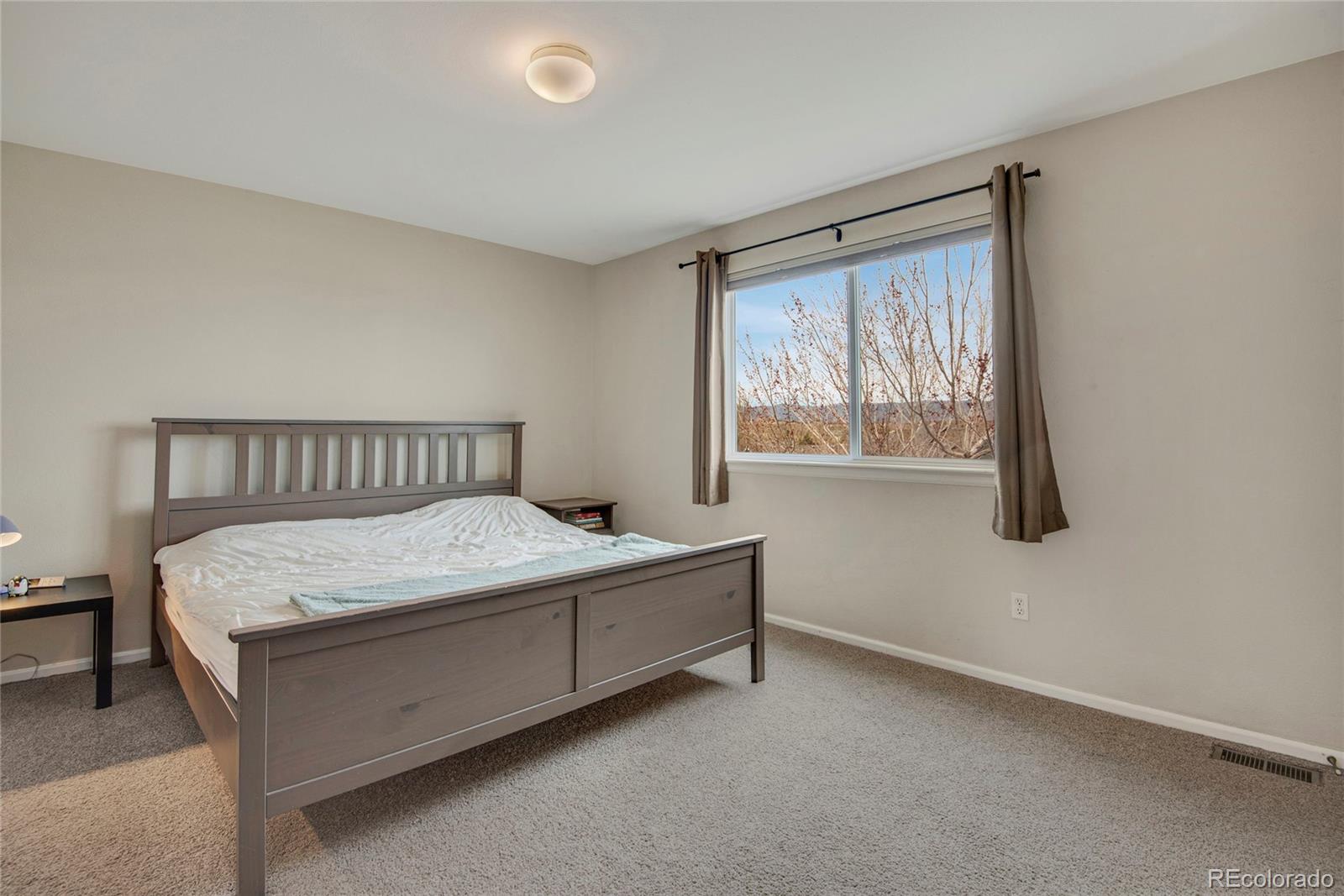 9847 Mulberry Way Highlands Ranch, CO 80129 - Photo 17 of 34 Gallery Image 17