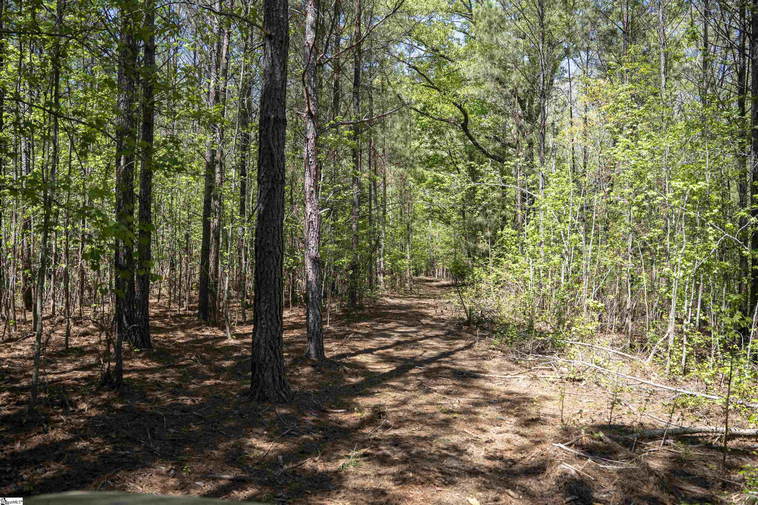 0 Loftis Road Abbeville, SC 29620 - Photo 11 of 27 Gallery Image 11