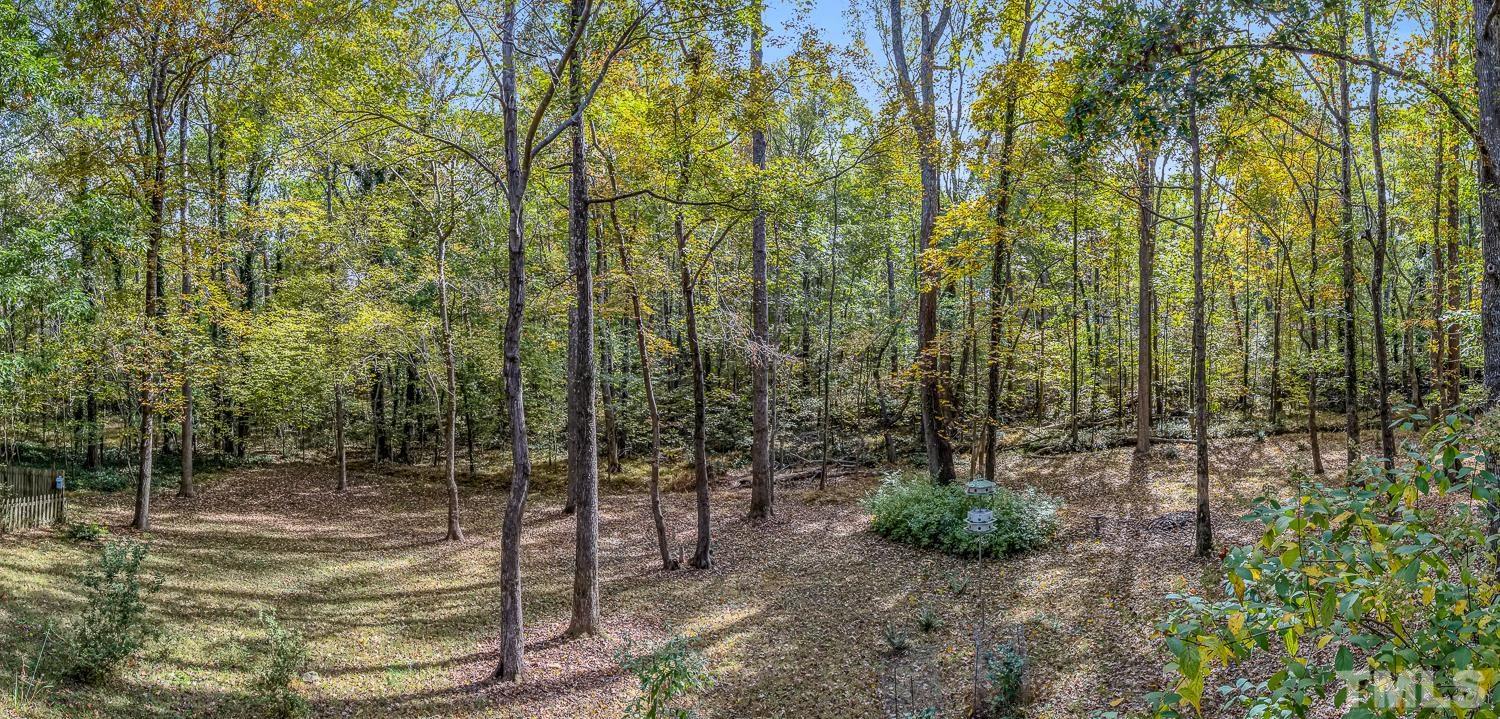 5908 Scalybark Road Durham, NC 27712 - Photo 27 of 30 a backyard of a house with lots of green space