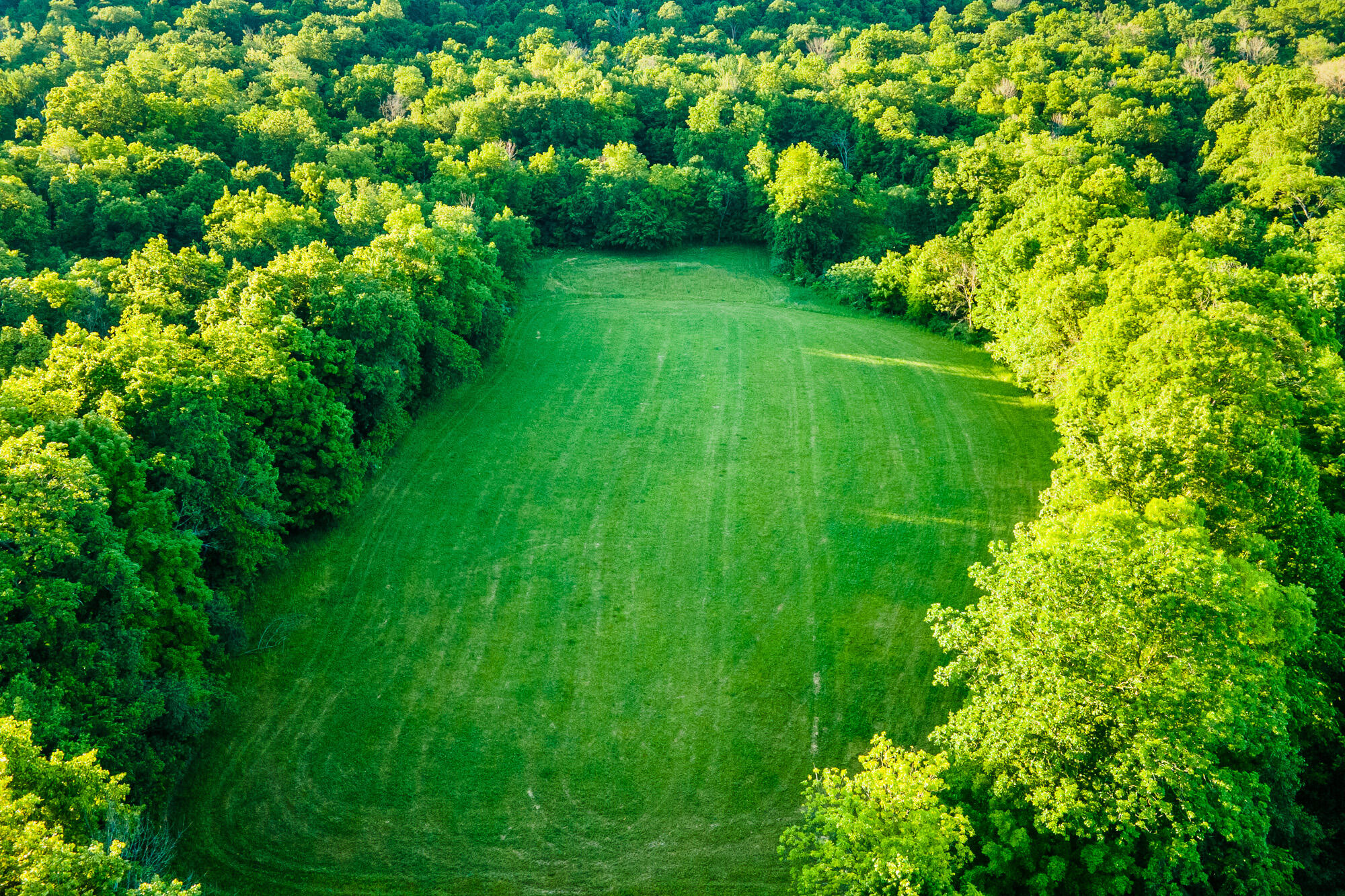Lt0 Denzer Road North Freedom, WI 53951 - Photo 48 of 68 Sauk-County-WI-54-Acres-Land-For-Sale-48