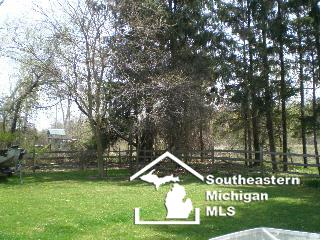 4951 School Road Petersburg, MI 49270 - Photo 16 of 18 Rear yard